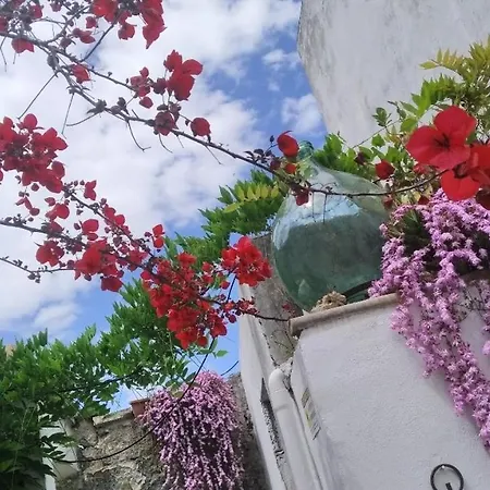 La Dimora Della Nonna Rosina Galatone